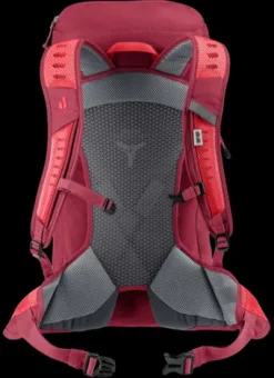 Deuter AC Lite 24 cherry-masala Outlet