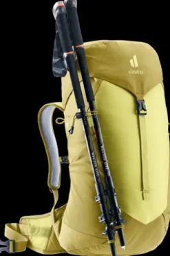 Deuter AC Lite 22 SL sprout-linden Best