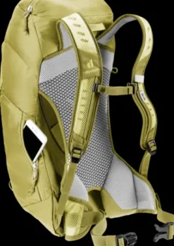 Deuter AC Lite 14 SL sprout-linden Online