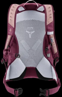 Deuter AC Lite 15 SL ashrose-cassis New