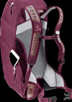 Deuter AC Lite 14 SL ashrose-cassis Fashion