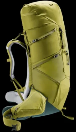 Deuter Aircontact Core 70+10 cactus-ivy Discount
