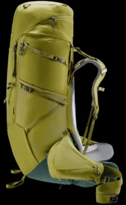 Deuter Aircontact Core 70+10 cactus-ivy Discount