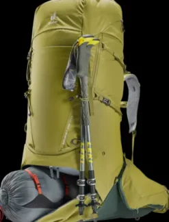 Deuter Aircontact Core 70+10 cactus-ivy Discount