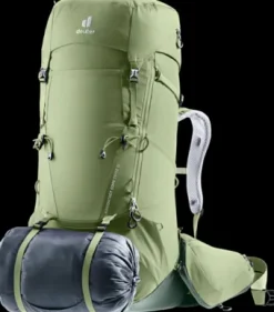 Deuter Aircontact Core 55+10 SL grove-ivy Outlet