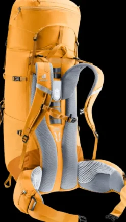 Deuter Aircontact Lite 50 + 10 amber-maple Best