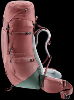 Deuter Aircontact Lite 45 + 10 SL caspia-ivy Discount