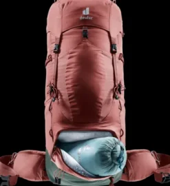 Deuter Aircontact Lite 45 + 10 SL caspia-ivy Discount