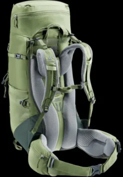 Deuter Aircontact Lite 35 + 10 SL grove-ivy Best