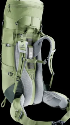 Deuter Aircontact Lite 35 + 10 SL grove-ivy Best