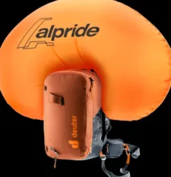 Deuter Alproof Lite 22 chestnut-black Best