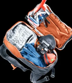 Deuter Alproof Lite 22 chestnut-black Best