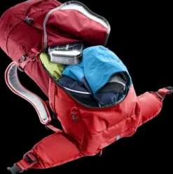 Deuter Futura 26 masala-cherry New