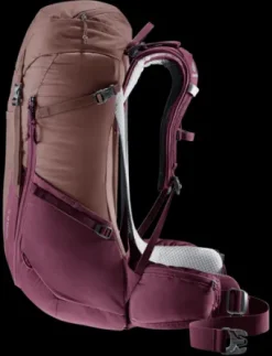 Deuter Futura 24 SL ashrose-cassis New