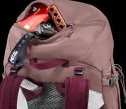 Deuter Futura Pro 34 SL ashrose-cassis Sale