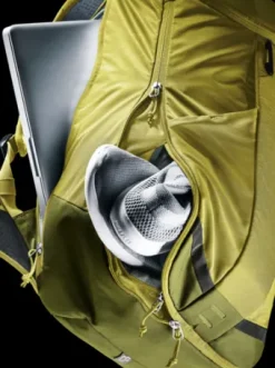 Deuter Rotsoord 25+5 linden-cactus Online