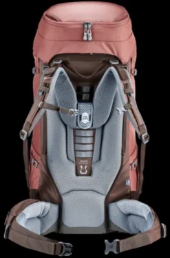 Deuter Voyager 60+10 SL caspia-raisin Clearance